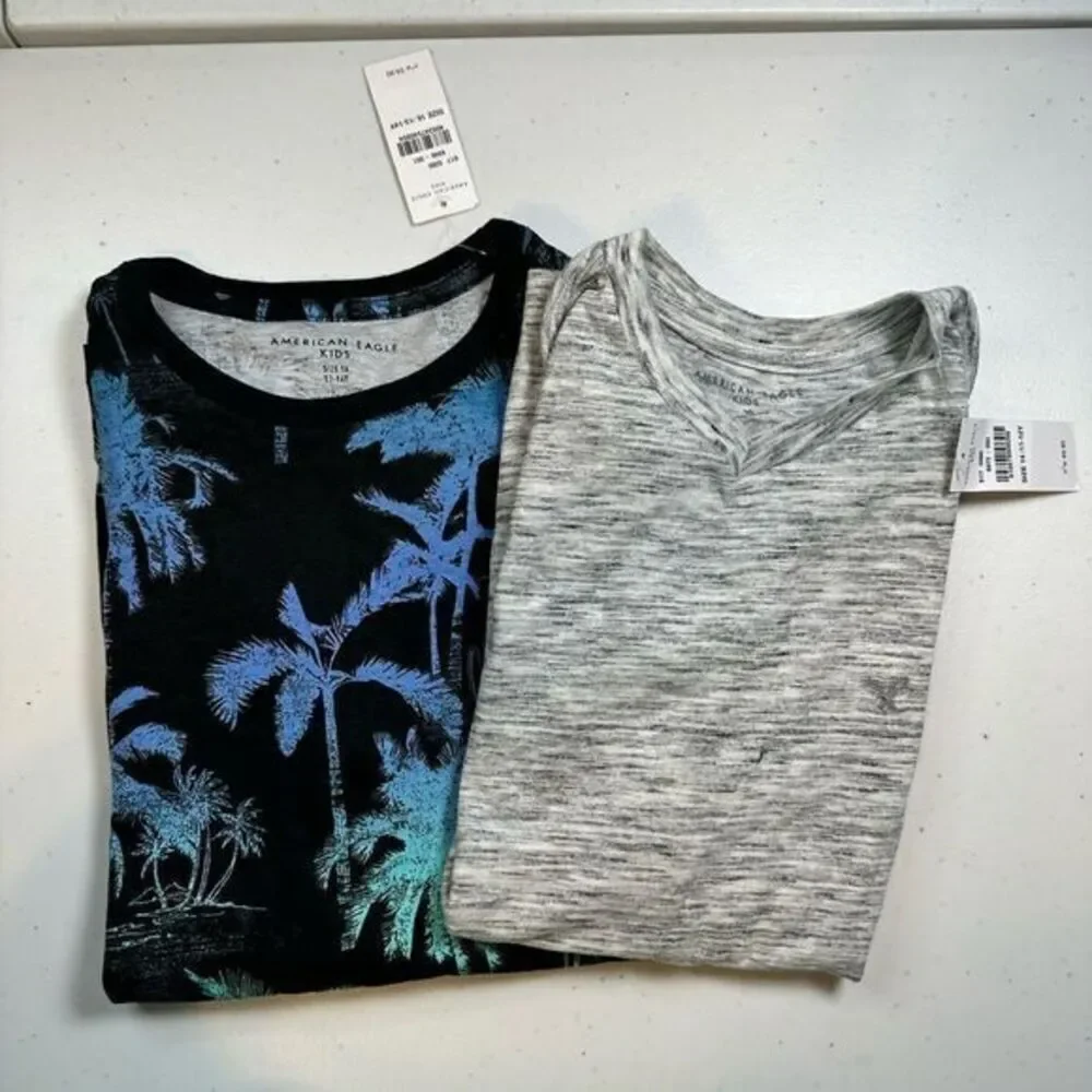 NWT American Eagle Kids Boys 2 Short Sleeve Tee Shirts Gray Logo Blue Palm - 14